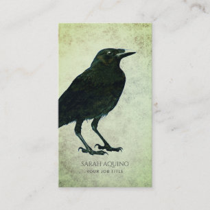Raven Texture Sage Background Business Card