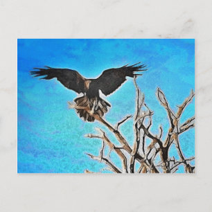 Raven tree postcard