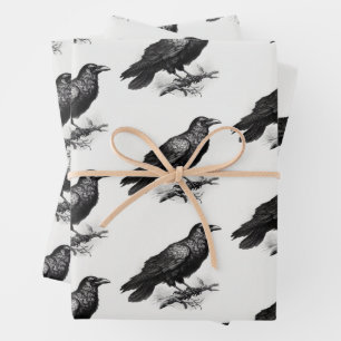 Raven Vintage Illustration Wrapping Paper Sheet