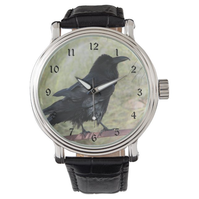Raven Watch (Front)
