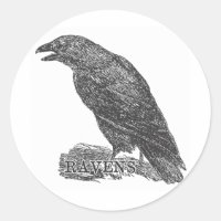 Ravens Gear from a Bygone Day
