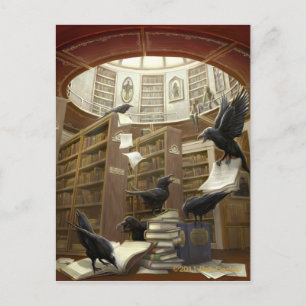 Ravens in the Library Postcard
