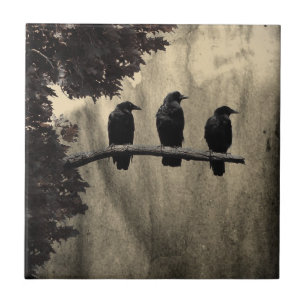 Ravens Perched Tile