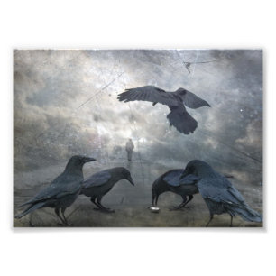 Ravens play with lost Time Photo Print