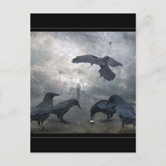 Ravens play with lost Time Postcard (Front)