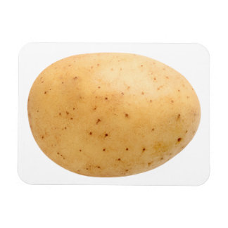 Raw potato magnet