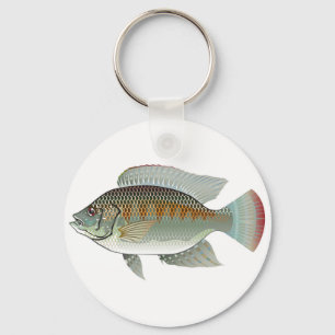 Raw Seafood Tilapia Fish Vector Keychain