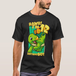 Rawr I'm 12 Birthday Boys 12th Birthday Dino Steg T-Shirt