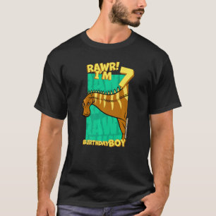 Rawr I'm 7 Birthday Boys 7th Birthday Dino Rebbach T-Shirt