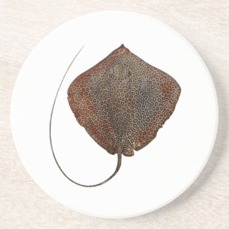 RAY OF LIFE COASTER