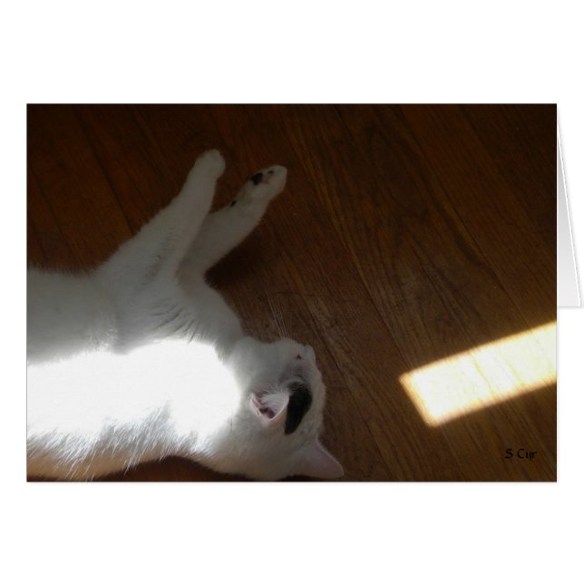 Ray of Light, S Cyr (Front Horizontal)