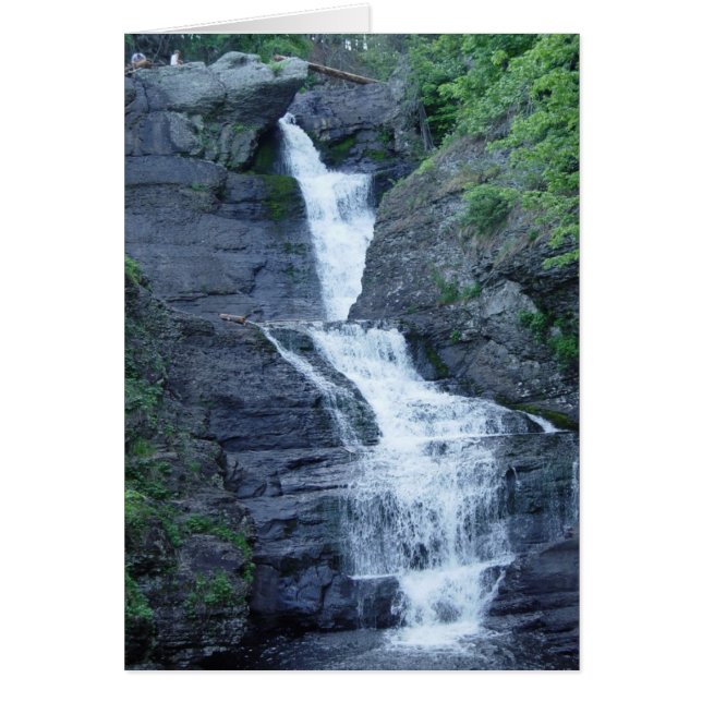 Raymondskill Falls (Front)