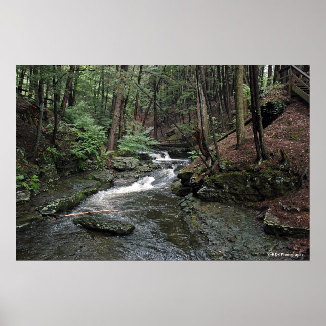 Raymondskill River in the Poconos print 040 (Front)