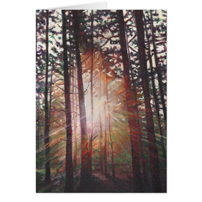 Rayon de soleil 2010 (Devant)