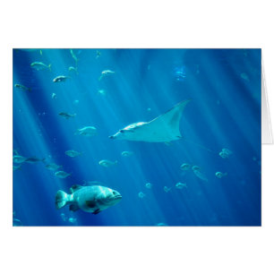 Rayon de Sting de flottement