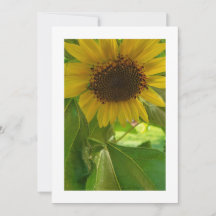 Rayonnement de tournesol : Invitation personnalisé