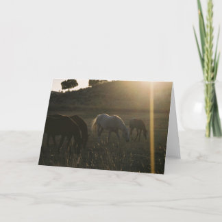 Rayons de soleil de ciel - carte de voeux de photo