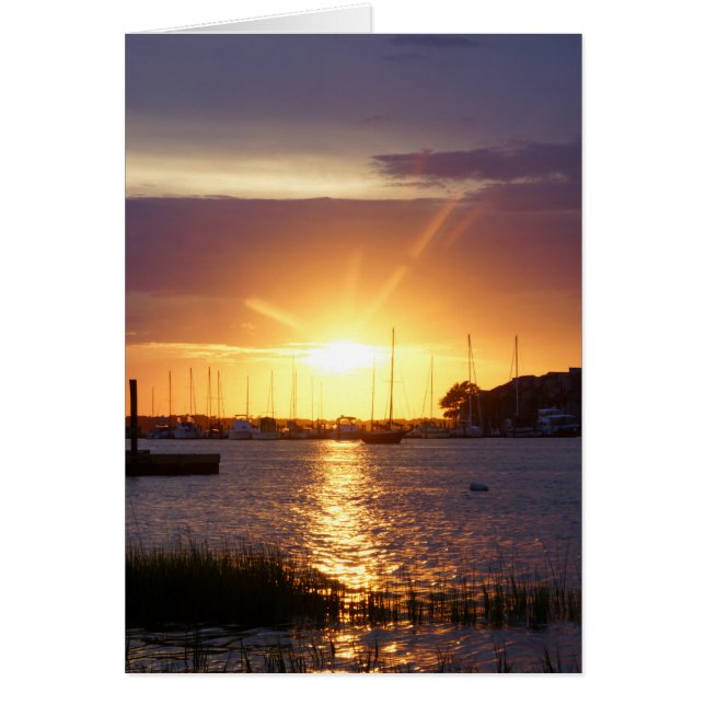 Rayons solaires de Folly River (Devant)