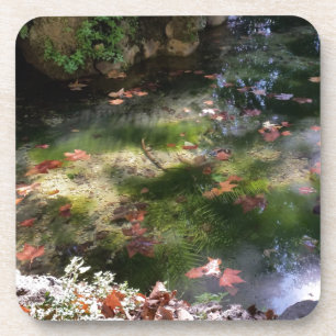 rays and leaves on water coaster