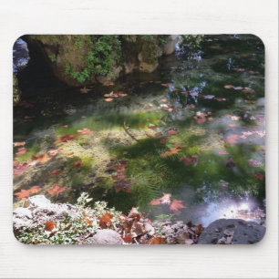 rays and leaves on water mouse pad