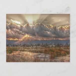 Rays at sunset Postcard