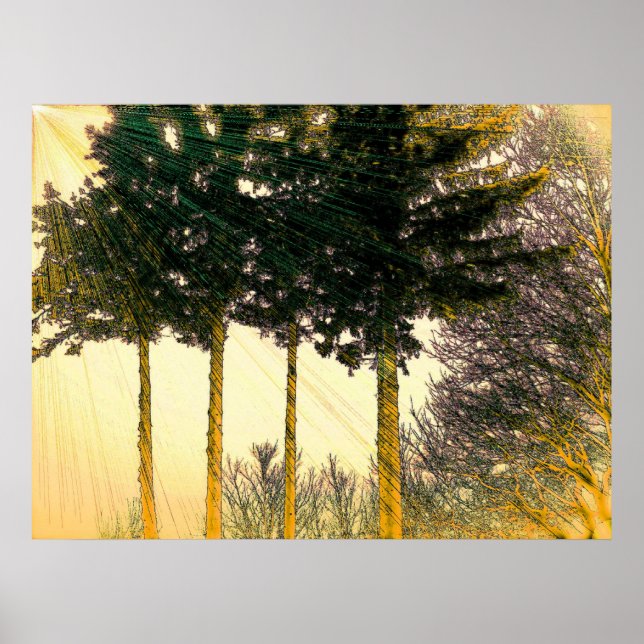 Rays of Hope Poster (Front)