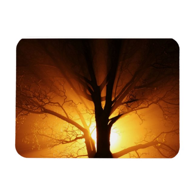 Rays of Light Premium Magnet (Horizontal)