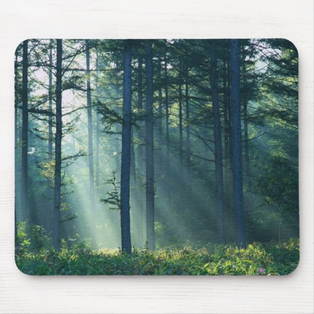 Rays Of Light Through Trees Mouse Pad (Front)