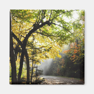 Rays Sun Shady Forest Canyon Ste-Anne QC Magnet