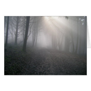 Rays Through Fog