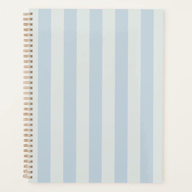 Rayures bleu clair (Devant)