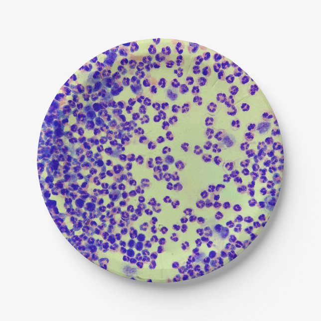 rbcs wbcs slide lab microscope hematology paper plate (Front)