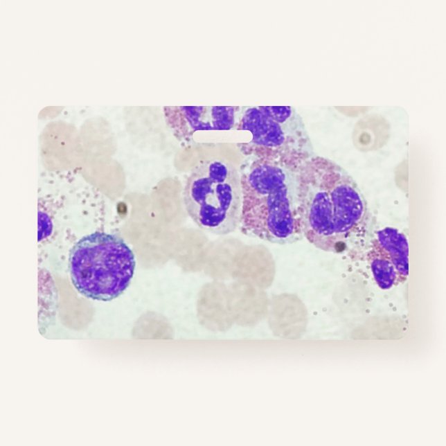 RBCs WBCs Slide Microscope Hematology Lab Badge (Front)