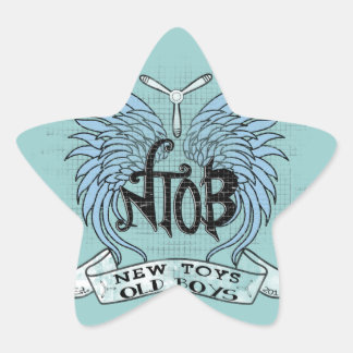 RC Airplane Club Vintage Star Sticker