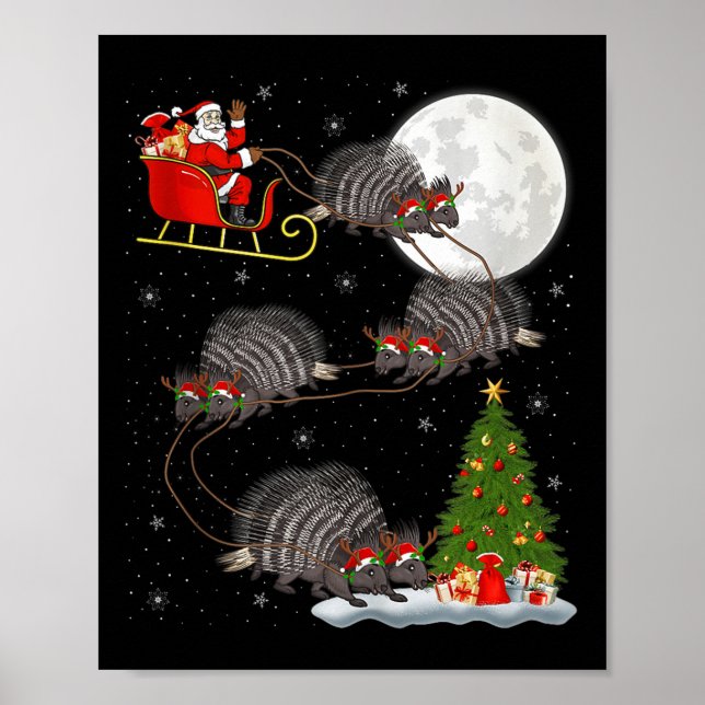 Rcune Santa Sleigh Flying Funny Magical Christmas  Poster (Front)