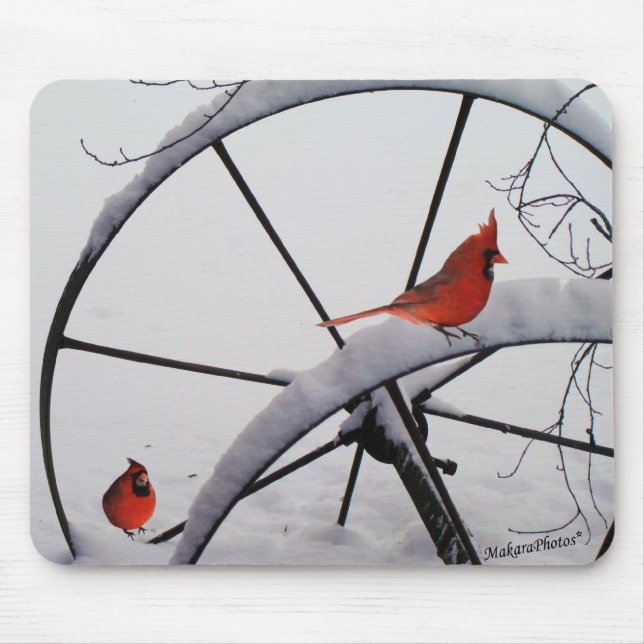 rdbds-olwhlsplc-z mouse pad (Front)