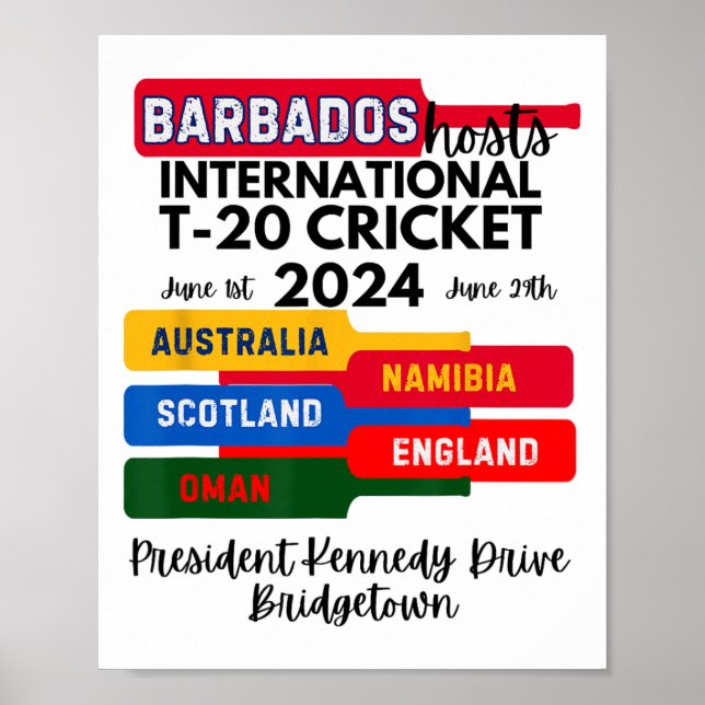 Rdos T-20 International Cricket  Poster (Front)