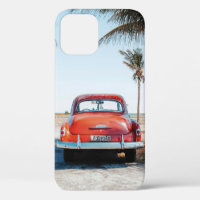 Re beetle beside coconut trees