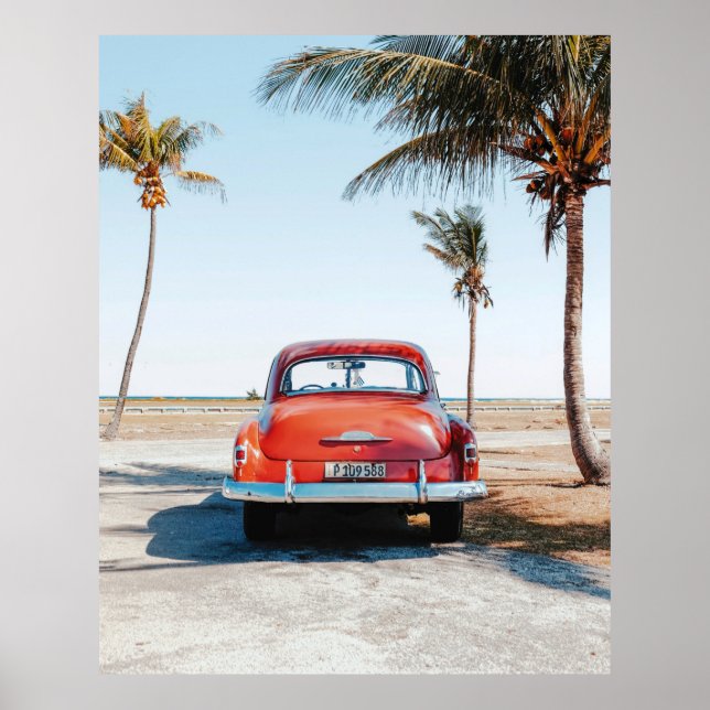 Re beetle beside coconut trees poster (Front)