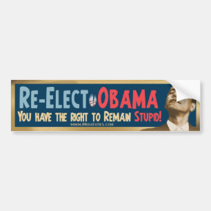 Re-Elect Obama, Stupid! Bumper Sticker