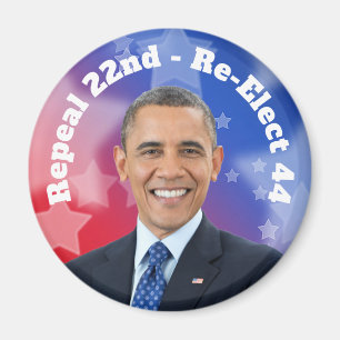 Re-Elect President Obama Magnet
