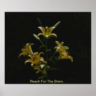 Reach For The Stars Poster