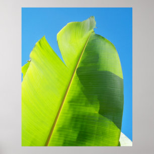 Reaching for Sun Poster