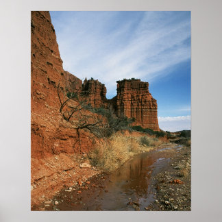 Reaching for Water Poster