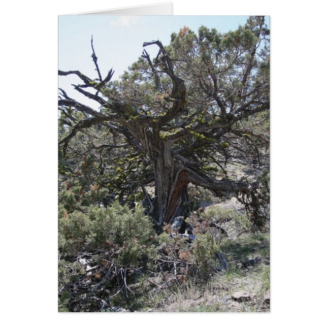 Reaching out (Front)