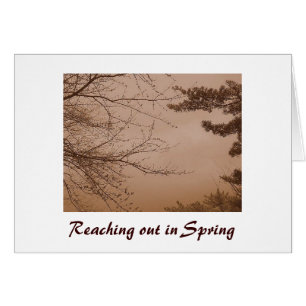 Reaching Out in Spring/Love Card