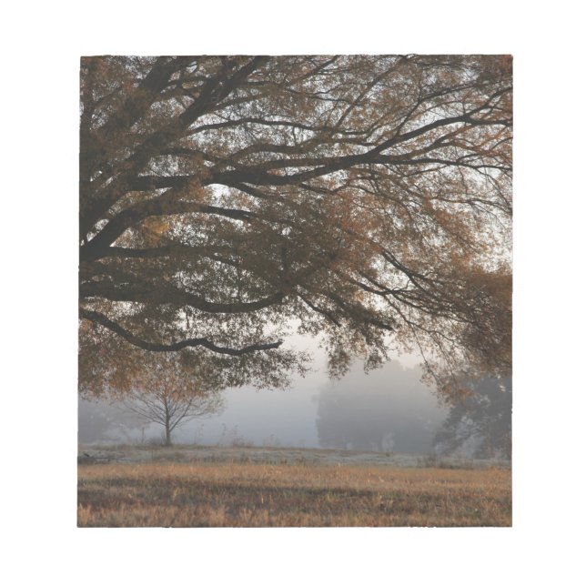 Reaching Out Notepad (Front)