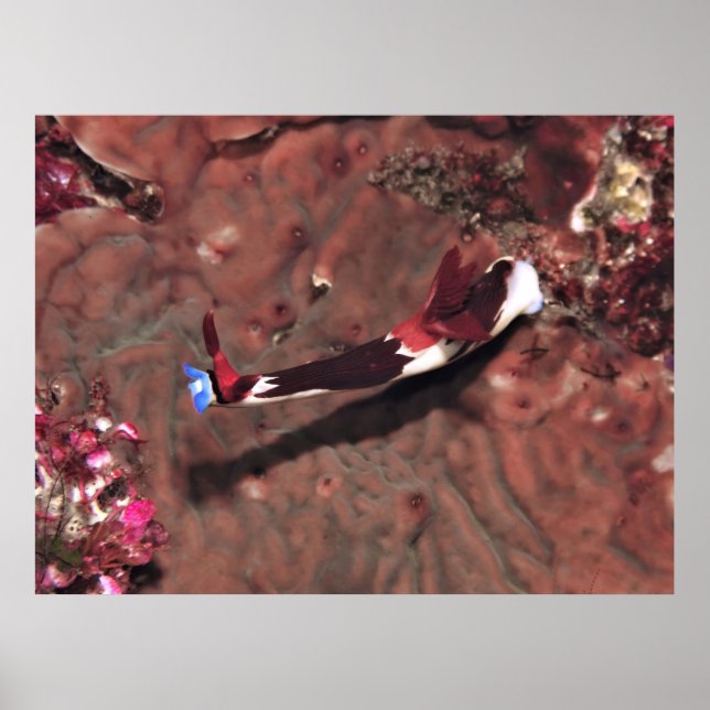 Reaching Poster (Front)