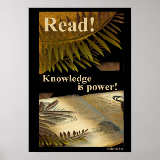 Read! Knowledge is Power! Poster