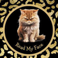 Read My Face Or Your Text Funny Angry Cat